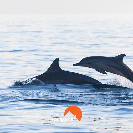 #038 Sesmarias Flat By Home Holidays Албуфейра Экстерьер фото